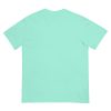 East Texas Birding Unisex Garment-Dyed Heavyweight T-Shirt - Image 18